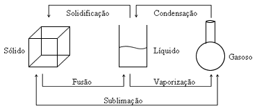 transf-fisica